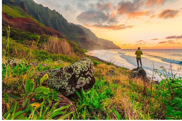 5 Reasons You Should Work As A Dentist In Hawaii